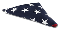 Load image into Gallery viewer, 3 Flags Military Shadow Box, flag case for 3 flags
